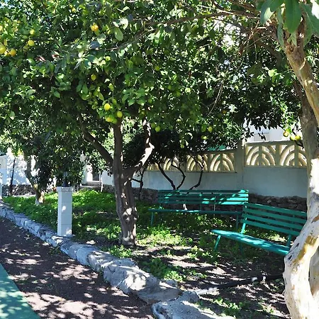 フィンカ トマース イ プリー