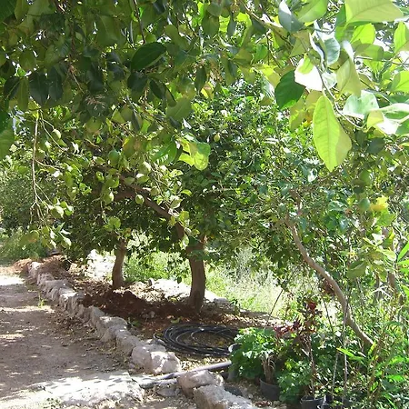 フィンカ トマース イ プリー Fátaga