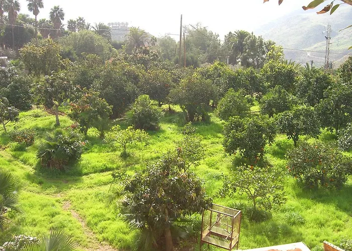 Tomas Y Puri Fátaga