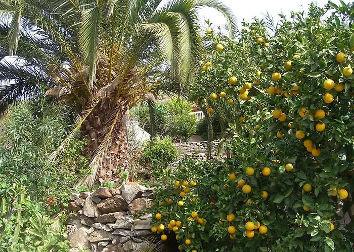 Appartement Tomas Y Puri