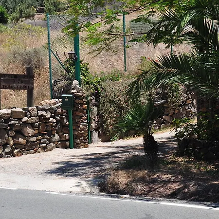 Tomas Y Puri Fátaga